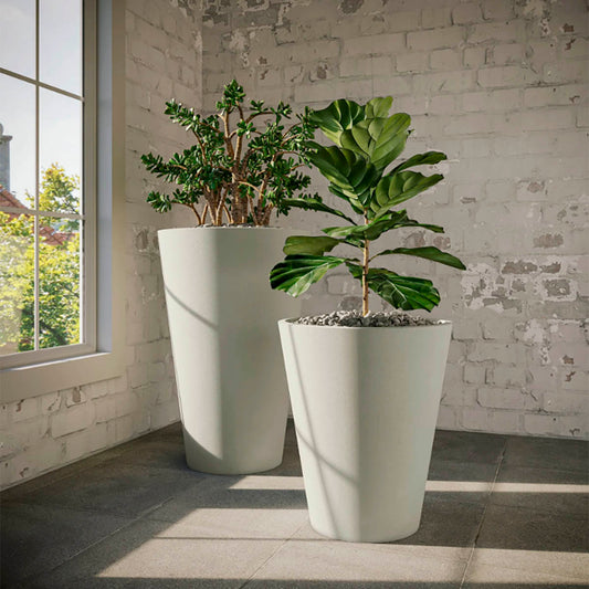 Lifestyle view Coronado Medium GFRC planters with minimalist tapered profiles, available in two sizes and twelve finishes, suitable for indoor or outdoor environments.