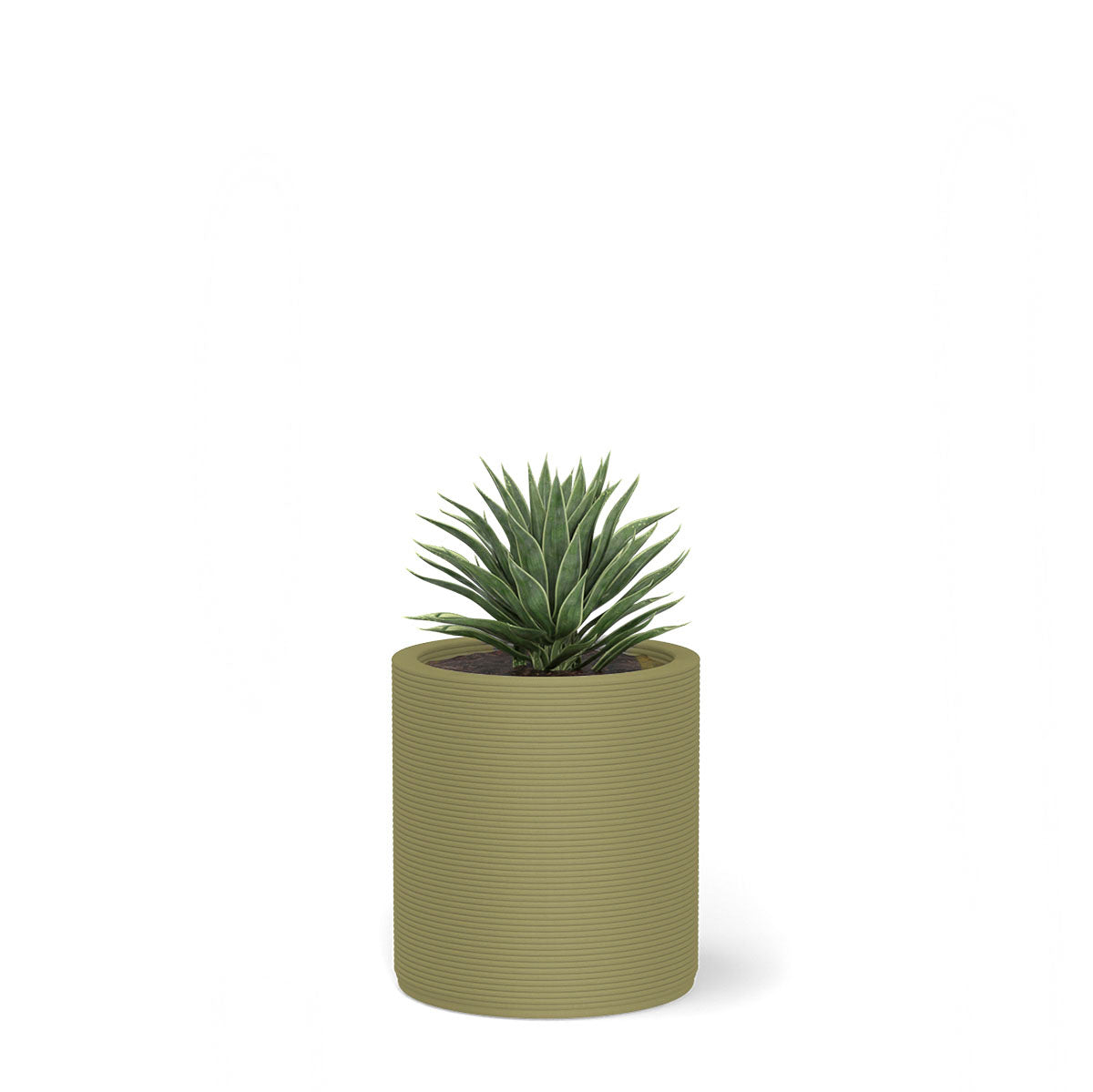 Solana Small Round Planter in Golden Olive 3D-printed concrete with ribbed texture, modern cylindrical design for indoor or outdoor use