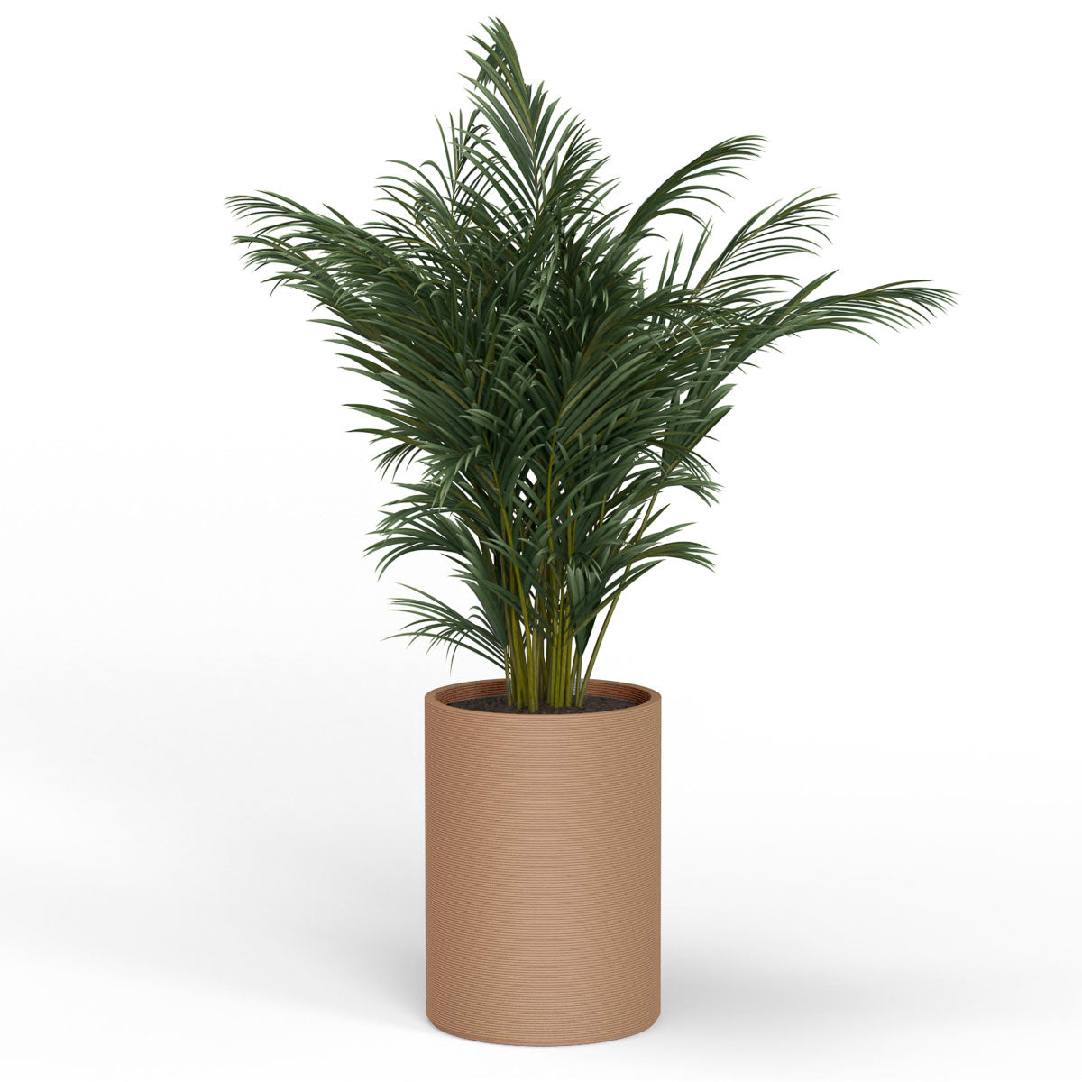 A Planted Solana XL Round Planter in  Desert Dawn, featuring a sleek vertical ribbed texture and cylindrical silhouette made from 3D-printed GFRC concrete.