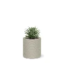 Mobius_Concrete-Solana_Small_Round_Planter-CYL1_13x12_0.24x1.00_P01_LMVL_e86d0d1d-445c-4dd3-9462-88e135b55e9b (1).webp