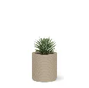 Mobius_Concrete-Solana_Small_Round_Planter-CYL1_13x12_0.24x1.00_P01_DSDW_f9fa270a-207e-4e80-a9fe-3b67ba5f563d (1).webp