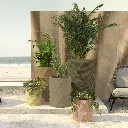 Diamond01_SquareCloseup_WEB.webp