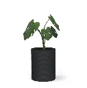 Mobius_Concrete-Solana_Medium_Round_Planter-CYL1_20x16_0.24x1.25_P01_OBNG_c0da2e9a-5c3e-4d32-a44d-b351be0a9af7.webp